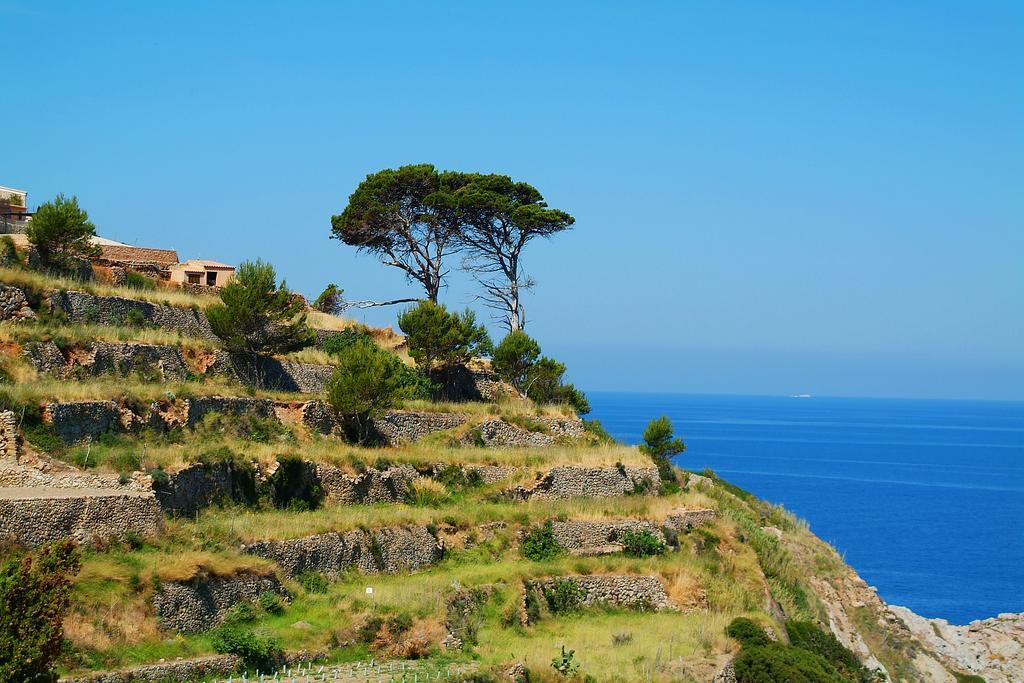 Hotel Sa Coma Banyalbufar Bagian luar foto